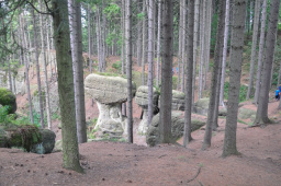 Krzeszów-31.08.2013_60